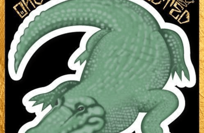 BAJO 0 la nueva propuesta de YVNGBOBY